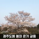 형진농장 이미지