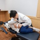 수정로120번길 이미지