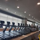 캐롤리나 휘트니스 이미지