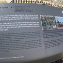 도련지석묘 1호 네이버블로그