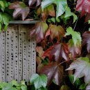 호스텔 서울 | [서울 종로구 호텔 숙소 숙박 추천] dmyk 합리적인 가격의 숙소