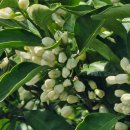 팜파스펜션 이미지