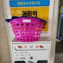 오도아 이미지