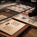 콜렉트강남 이미지