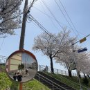 알톤자전거 강릉대리점 이미지