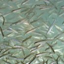 인제16-2 이미지