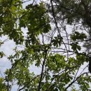 봄날 행정사사무소 이미지