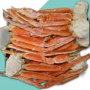 주식회사 대게킹 이미지