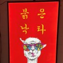 붉은낙타