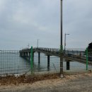 장포해상낚시1 | 태안 의항리 해상낚시공원 1박 2일 후기 ( 낙지방 / 아이랑 가족여행 ) 준비물 팁 !