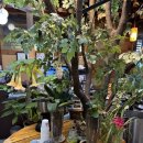 왕갈비냉면 | 구리 먹골촌 돼지갈비 왕갈비 갈비탕 냉면 솔직 후기