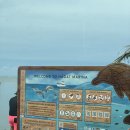 키즈돌핀 | 괌에서의 하루: 바다 위 돌핀크루즈 &amp; PIC 키즈클럽 현실 후기