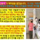 제주트립티 - 120208 | 제주트립티