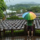 현인농원 | [경기 안성]당일치기 안성 여행~!(part1-서일농원,칠장사)