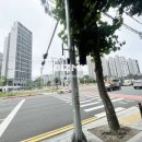 엠제이메디칼 네이버블로그