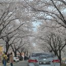 비슬로63길 이미지