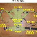 [지후맘 싸이벡스 투고 아기띠 체험단후기] #2 싸이벡스 투고 아기띠 자세하고 꼼꼼하게 살펴보다...
