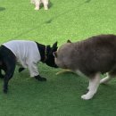 코모네펫하우스 이미지