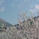 정한농원 이미지
