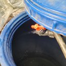 배우물농장 이미지