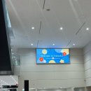 세븐일레븐김해율하동원점 | 08.24. 후쿠오카 여행일정 한큐백화점, 칼디, 이모야킨지로, 일 포르 델 미뇽후기 일본쇼핑팁 텍스리펀까지