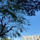 카페메이트 - 춘천시 사우로 161 | 카페메이트