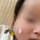 도산종합개발㈜ | 데일리 아기 로션 추천 궁중비책 베이비 모이스처 로션 신생아 스킨케어 브랜드