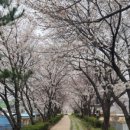 마성면행정복지센터 이미지