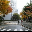 정자천 | 진안고원 7구간