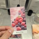 현대백화점 | 퓨어파이브 향수 현대백화점 팝업 다녀온 후기🩷