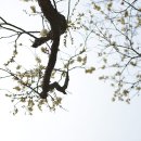 해금강펜션 이미지