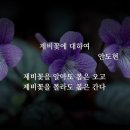 이아 이미지