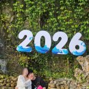 마블피시 이미지