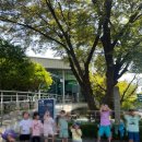 수도박물관 | 서울숲 서울수도박물관 어린이 단체 관람 후기