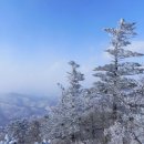 용인 산과 사람들 제29차 정기산행 공지-강원도 평창 발왕산 이미지