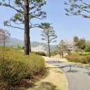 더블리앤리