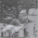 렌즈나라 이미지