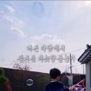 스테이 다래 이미지