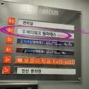 필라테스 맛집 에스바디워크 필라테스 모래내점