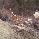 수종농장 이미지