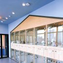 옐레드 애견유치원 & 애견호텔 대전노은점 이미지