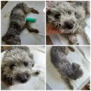 한들1로 이미지