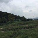 솥뚜껑식당