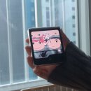 벼락치기 인생