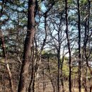 준희마을 이미지