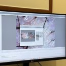 완미족발진주 | 진주 두피관리 추천 “WT메소드” 진주점 탈모관리 후기