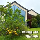 스위트가든 | 서귀포 가성비 호텔 야크마을 제주 리조트 가든스위트 독채 후기