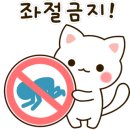 전家곱창 네이버블로그