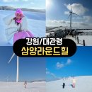 삼양당 | <강원/대관령> ❄️대관령 삼양라운드힐 겨울여행 후기｜강원도 당일치기 여행지 추천