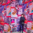 K현대미술관 이미지